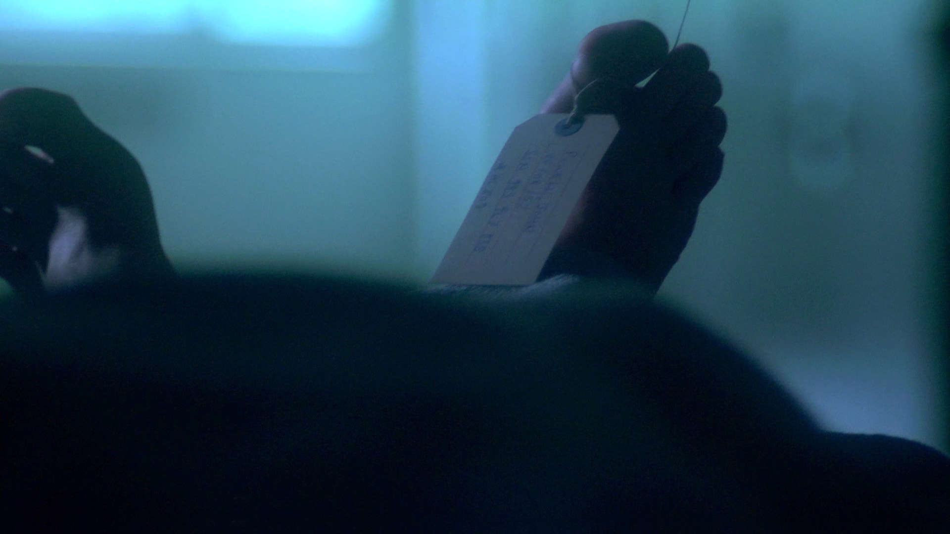 Watch Catching Killers Season 2 Episode 6 Cause of Death Full show