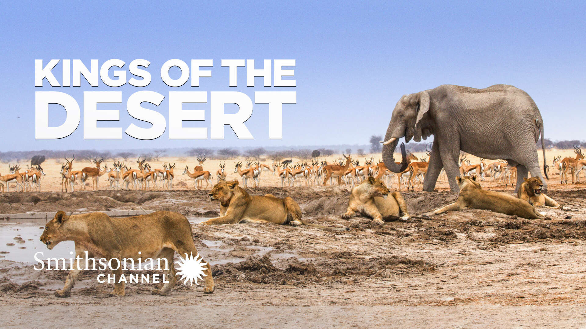 Kings of the Desert Watch Full Movie on Paramount Plus