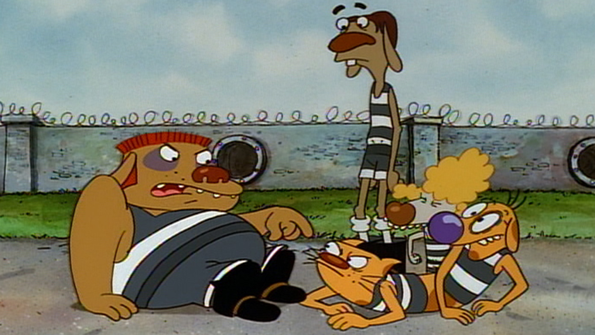 is catdog on netflix