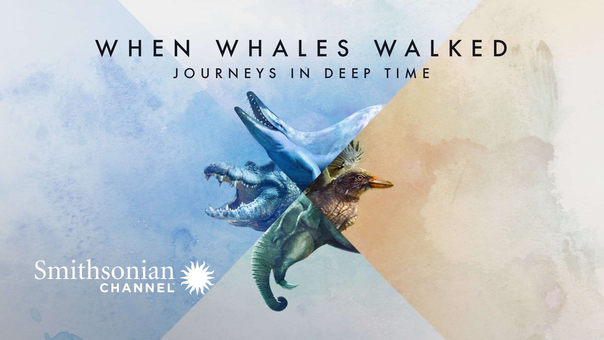 when whales walked journeys in deep time 2019