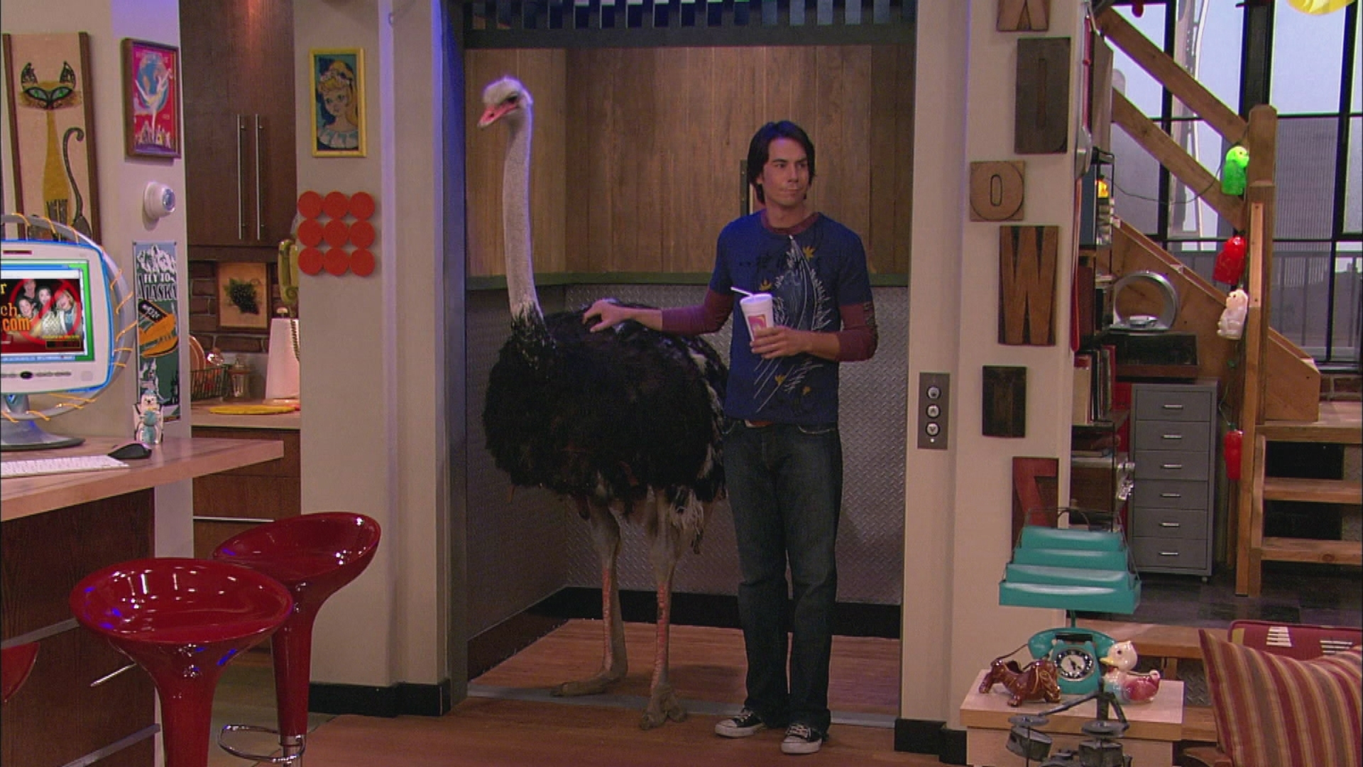 Watch iCarly Season 2 Episode 13: iMeet Fred - Full show ...