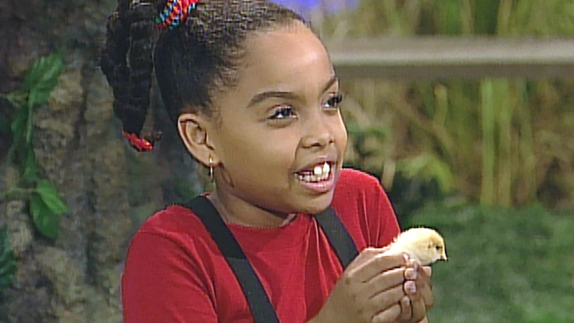 Watch Gullah Gullah Island Season 1 Episode 8 Gullah Gullah Island