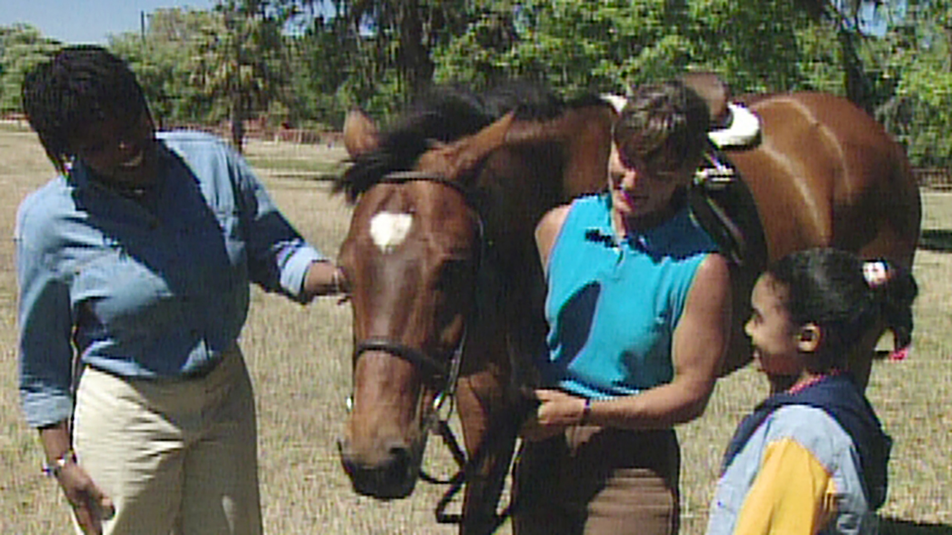 Watch Gullah Gullah Island Season 3 Episode 8 Gullah Gullah Island