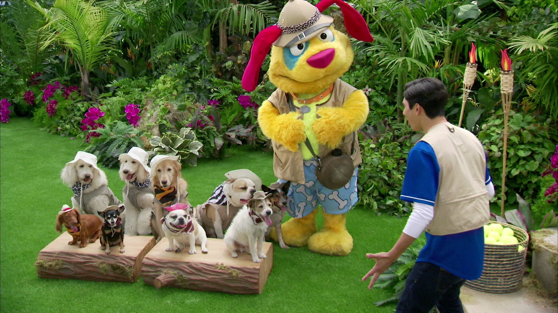 Watch Mutt & Stuff Season 2 Episode 4 Doggy Adventure Day Full show