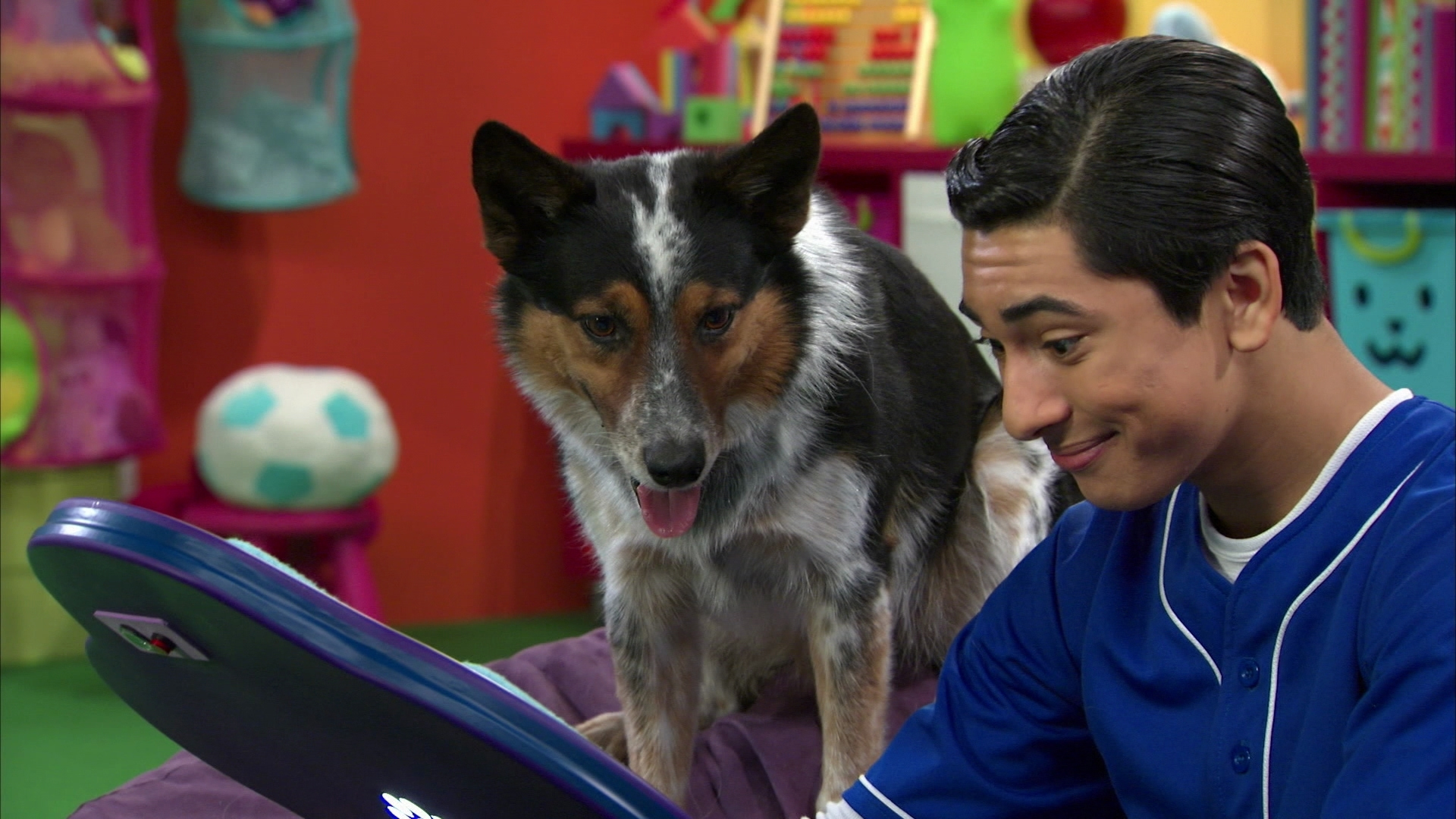 Watch Mutt & Stuff Season 2 Episode 18 Dog Star Challenge Full show