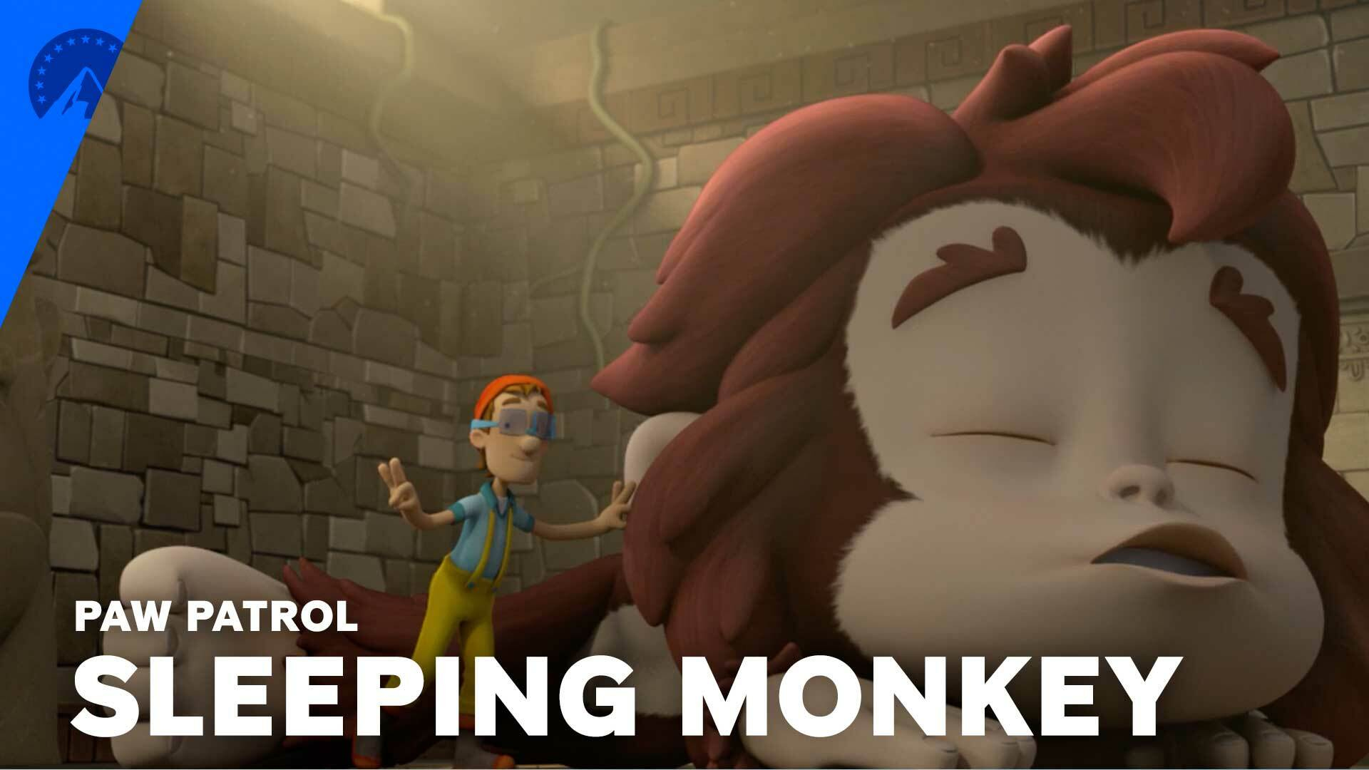 Watch Paw Patrol Season 6, Episode 11 - Don't Wake a Snoring Monkey ...