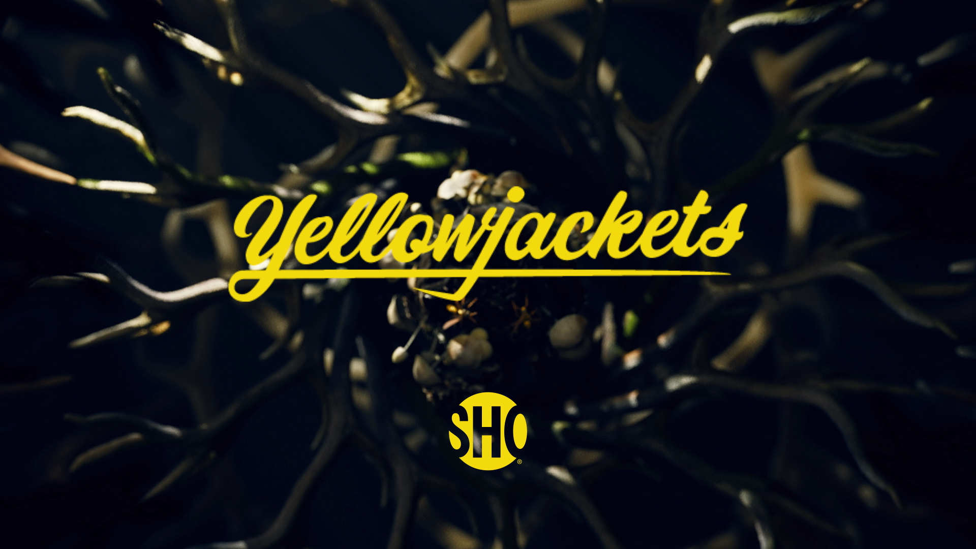 Watch Yellowjackets Yellowjackets S2 SHOWTIME® Original Official
