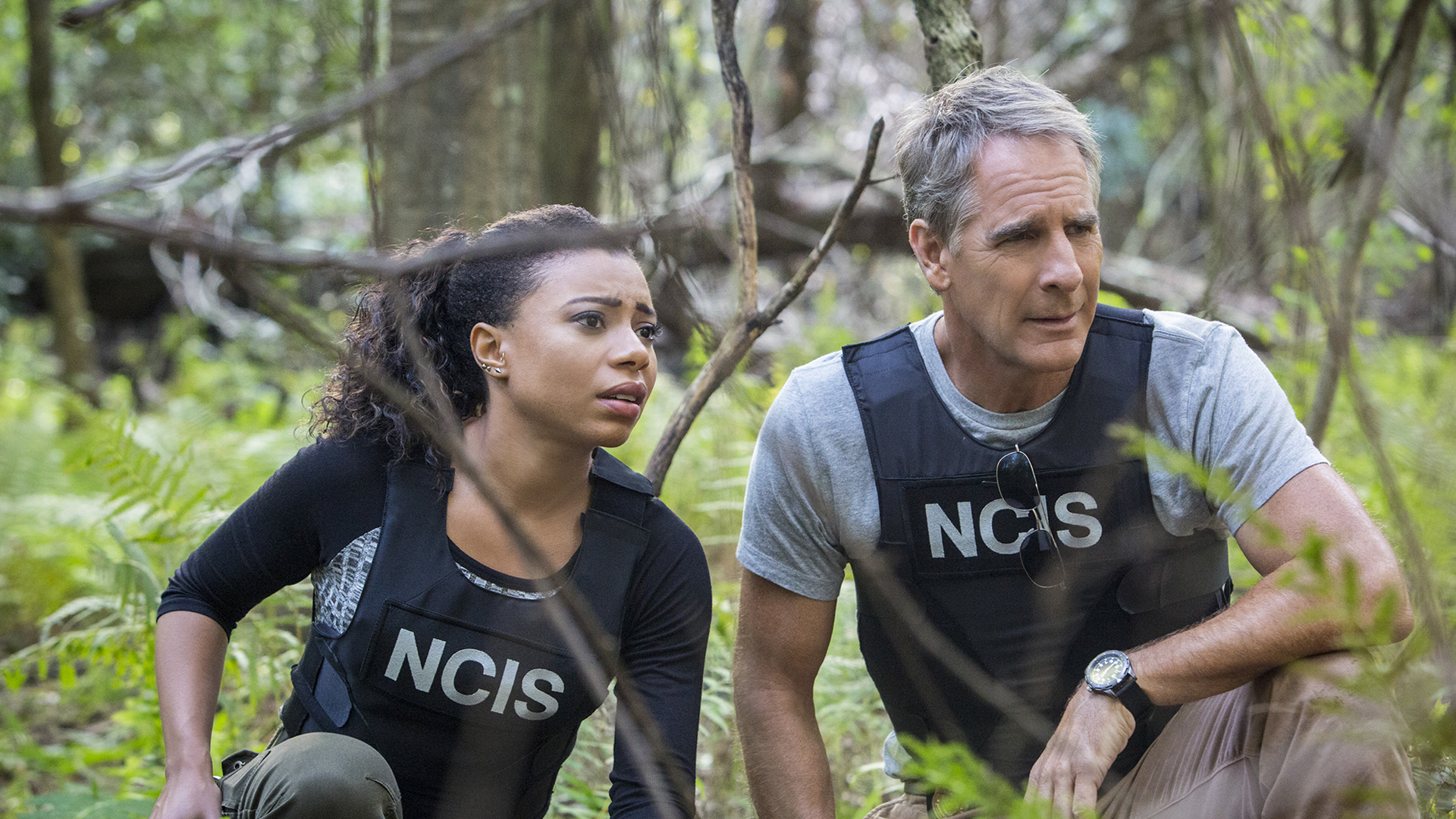 Cast Of Ncis New Orleans Where Are They Now At James Vance Blog