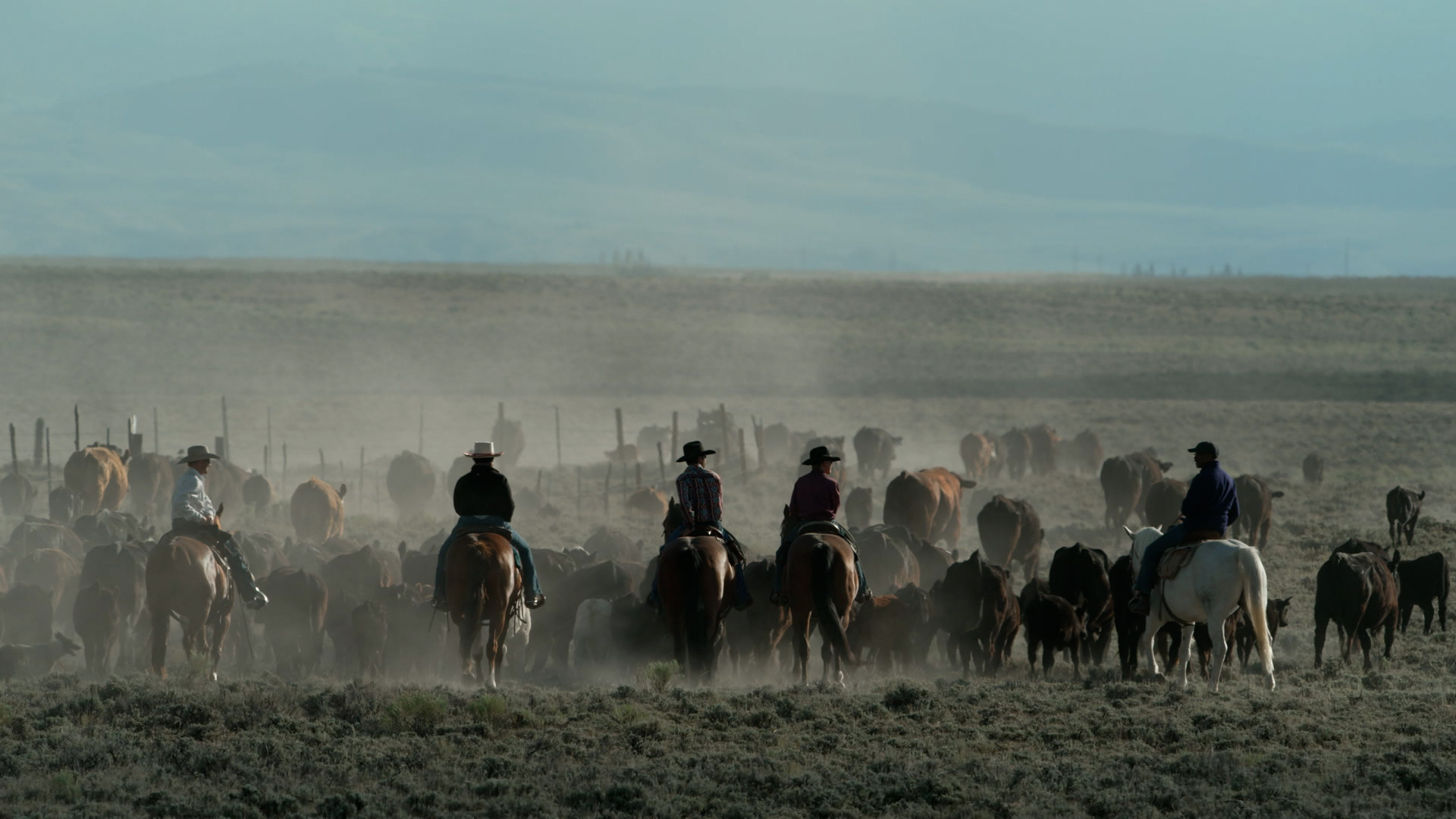 Watch 60 Minutes Overtime The longestrunning cattle drive in America