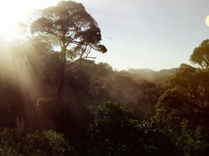 Perdido - Flash E O Resgate do Ovo na Amazônia