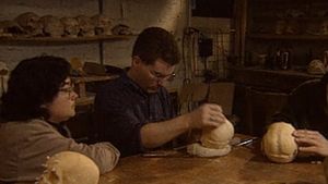 Forensic Files - Crime Seen