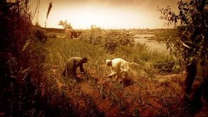 Return of the Bible Plagues - Locusts
