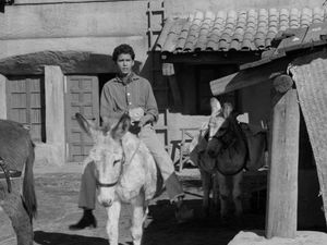 Death Valley Days - Goodbye Five Hundred Pesos