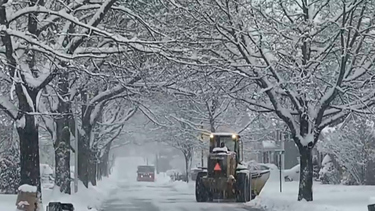 Watch CBS Evening News Chaos in Northeast after first major snowstorm ...