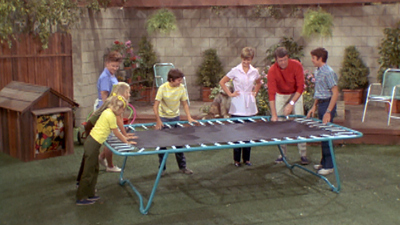 The Brady Bunch : What Goes Up'