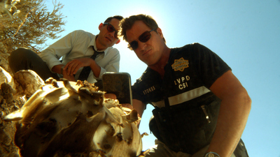 CSI: Crime Scene Investigation : Wild Flowers'