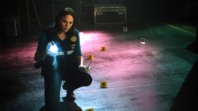 CSI: Crime Scene Investigation : It Was A Very Good Year'