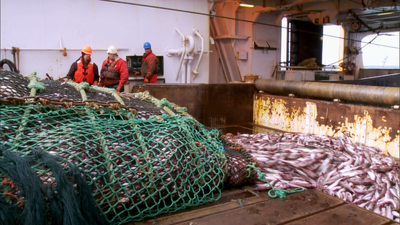 Undercover Boss : American Seafoods'