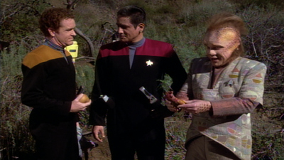 Star Trek: Voyager : State Of Flux'