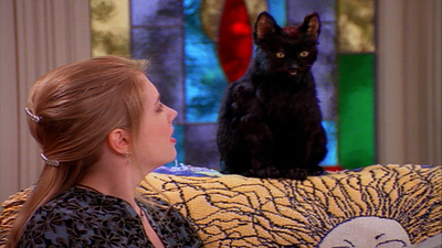 Sabrina the Teenage Witch - Cat Showdown : Cat Showdown'