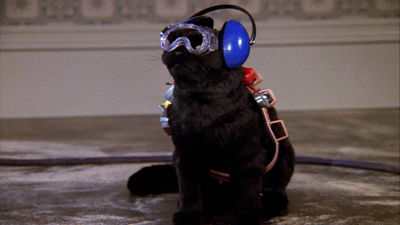 Sabrina the Teenage Witch - La nueva compañera de cuarto de Sabrina : La nueva compañera de cuarto de Sabrina'