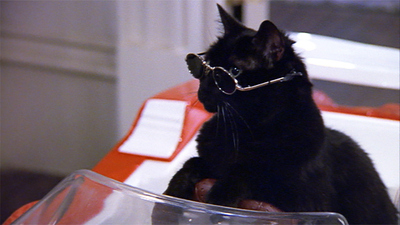 Sabrina the Teenage Witch - Salem y Juliette : Salem y Juliette'