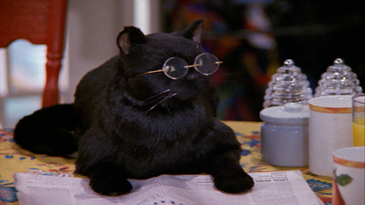 Sabrina the Teenage Witch - Algunos de mis mejores amigos son mitad mortales : Algunos de mis mejores amigos son mitad mortales'