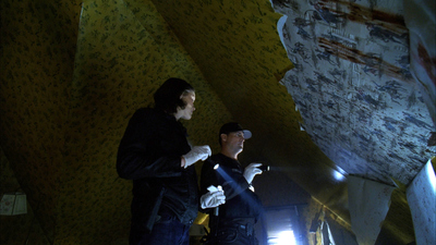CSI: Crime Scene Investigation : In a Dark, Dark House'