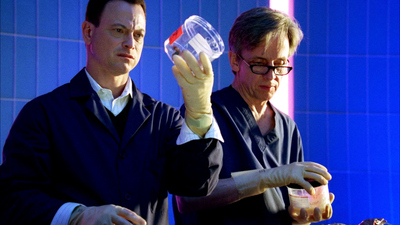 CSI: New York : Riesgos'
