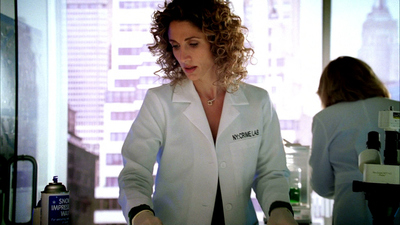 CSI: NY : And Here's to You, Mrs. Azrael'