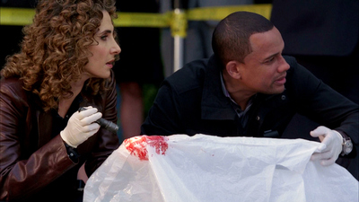 CSI: NY : The Past, Present and Murder'