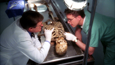 NCIS : Hometown Hero'