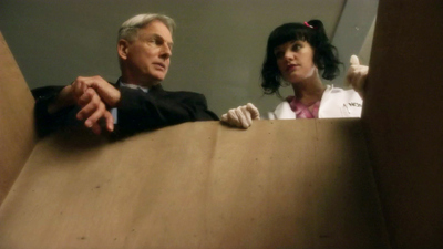 NCIS : Enemies Foreign'