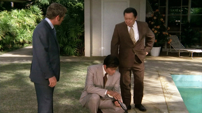 Hawaii Five-0 (Classic) : While You're At It, Bring in the Tile Moon'