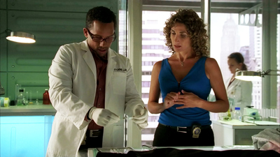 CSI: NY : You Only Die Once'