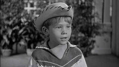 The Andy Griffith Show : Runaway Kid'