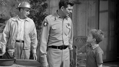 The Andy Griffith Show : Aunt Bee The Crusader'