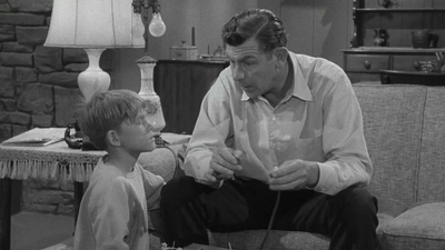 The Andy Griffith Show : Aunt Bee Romance'