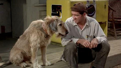The Andy Griffith Show : Man's Best Friend'