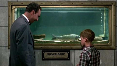 The Andy Griffith Show : Big Fish in a Small Town'