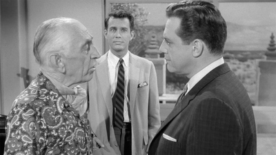 Perry Mason : The Case of the Petulant Partner'