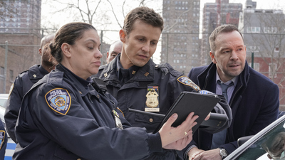 Blue Bloods : My Brother's Keeper'