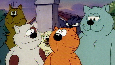 Heathcliff : The Great Pussini // Kitty Kat Kennels'