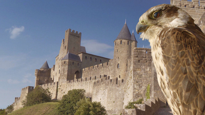 Wild Castles : Carcassonne'