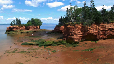 The Living Beach : Nova Scotia'