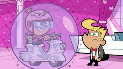 The Fairly OddParents : The Masked Magician/The Big Bash'