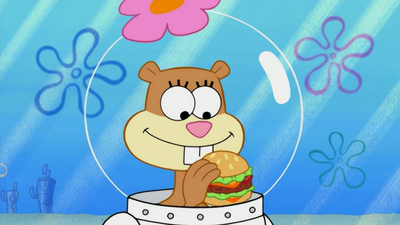 SpongeBob SquarePants : Someone's in the Kitchen with Sandy/The Inside Job'