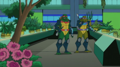 Teenage Mutant Ninja Turtles : Fall of Darius Dunn'