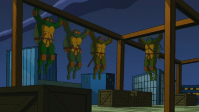 Teenage Mutant Ninja Turtles : Still Nobody'