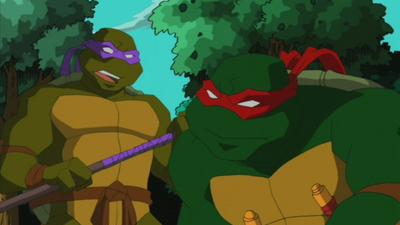 Teenage Mutant Ninja Turtles : H.A.T.E.'